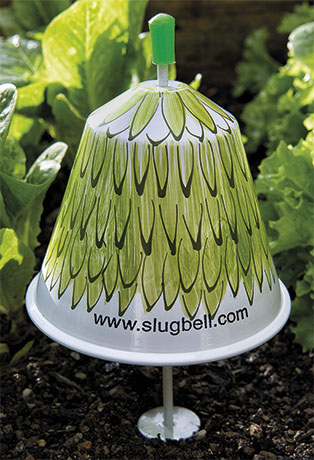 Slug Bell - Dome large *UK only