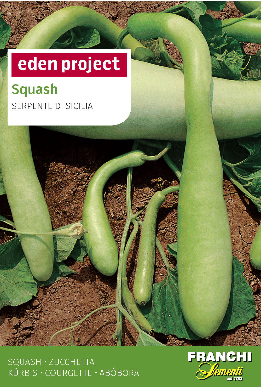 Eden Project Squash ‘Serpente Di Sicilia’- Lagenaria vulgaris S. *Save £1*