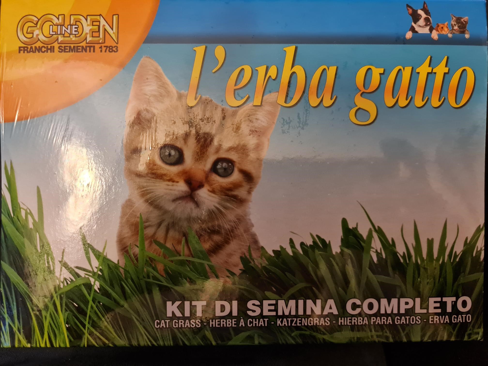 Cat Grass Kit with seed tray - simply add water