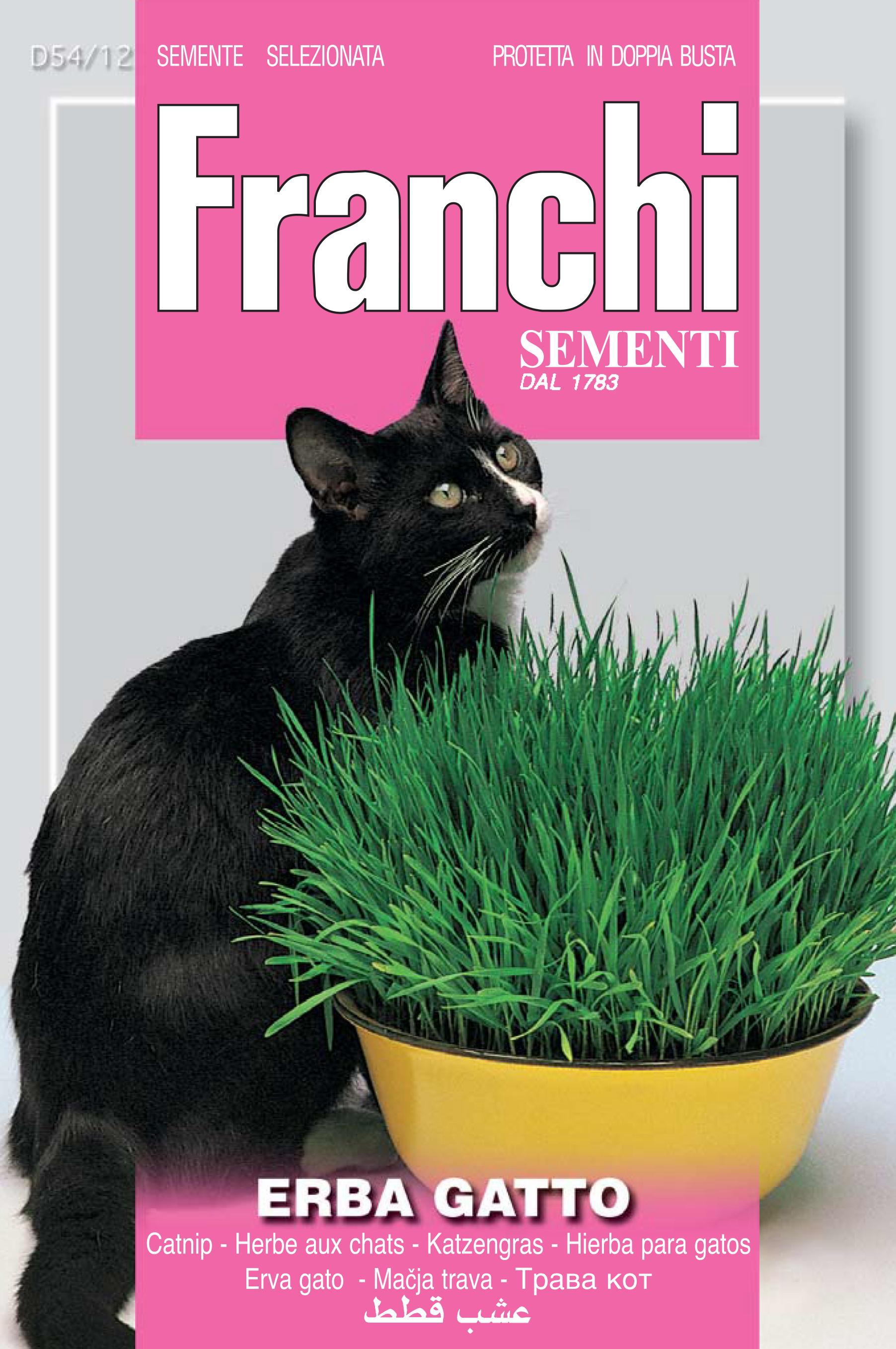 Dreamies Erba Gatta Cremosa 11x4x10g | Snack Per Gatti | Con Taurina | Senza Zuccheri Aggiunti - Foto 11