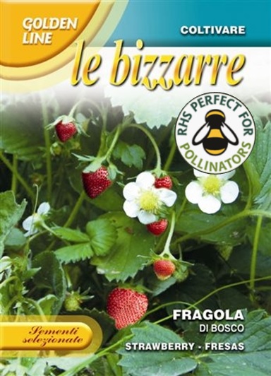 Strawberry 'Di Bosco'