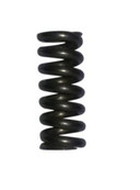 ONE-WAY VALVE SPRING