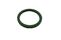 PORTAFILTER GASKET GREEN VITON