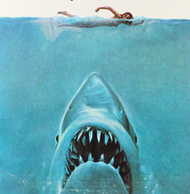 Boaters should be aware of “Sharktivity” before they hit the open water this summer