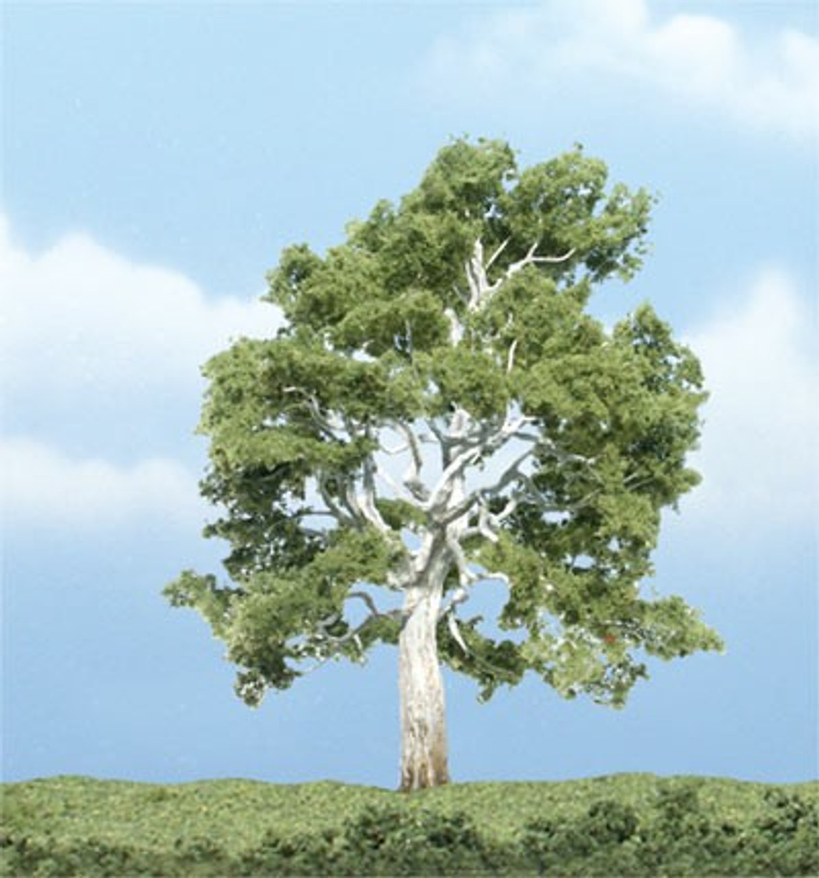 Woodland Scenics TR1609 Premium Sycamore Tree  4 