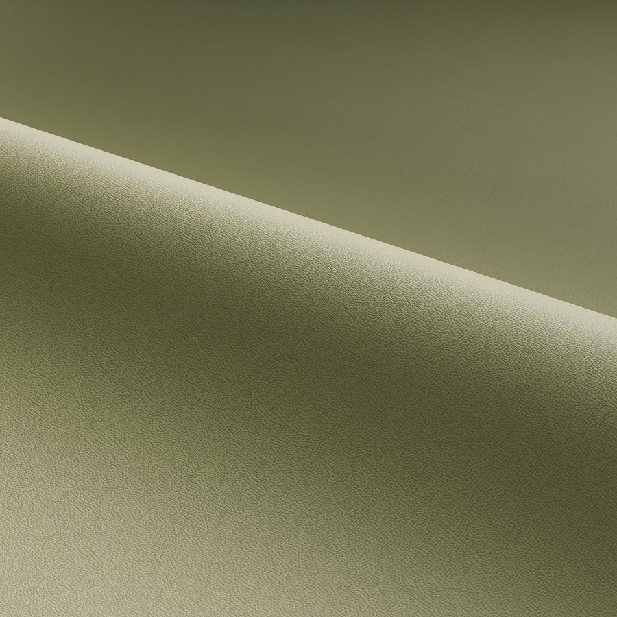 Dynamic 'Aloe-3403'