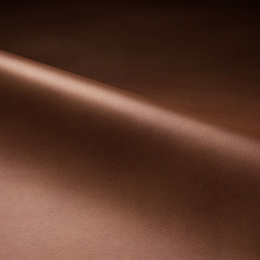 Dynamic 'Russet-3889' Dynamic 'Russet-3889'