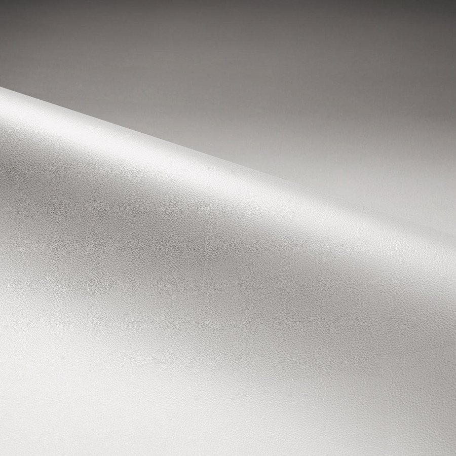 Dynamic 'Arctic-3889' Dynamic 'Arctic-3889'