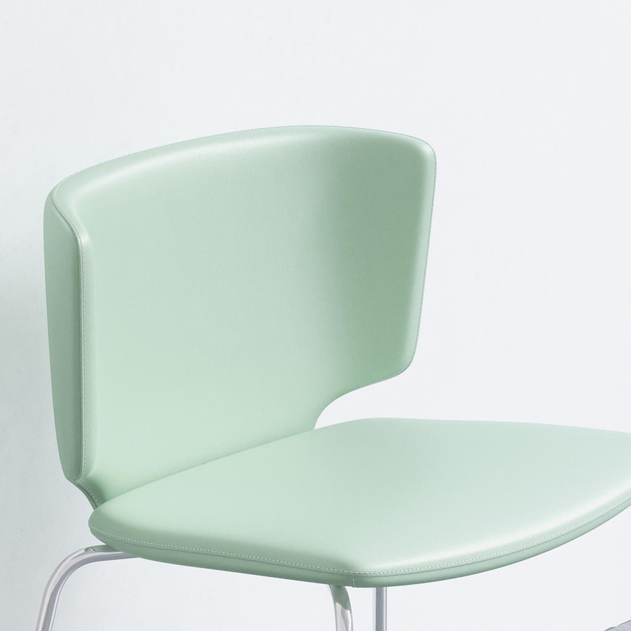 Application 'Celestial-3919'