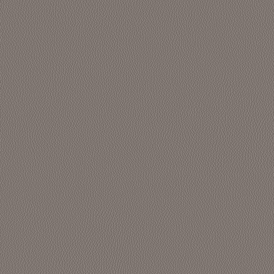 Product 'Alloy-3919' Swatch