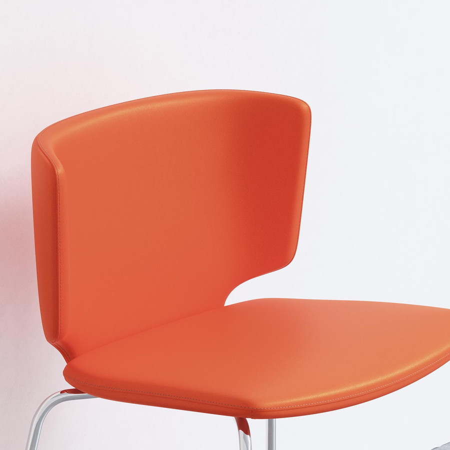 Application 'Field Poppy-3979'