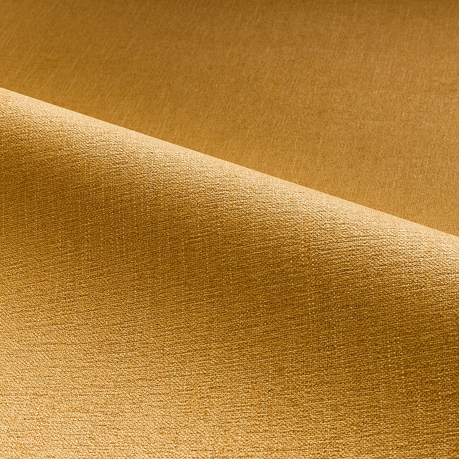 Dynamic 'Canary-3114'