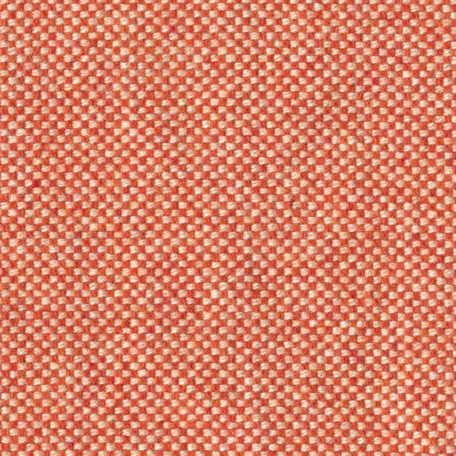 Checker
