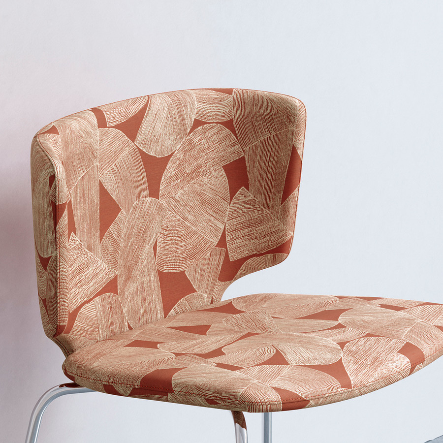 Application 'Paprika-7920'