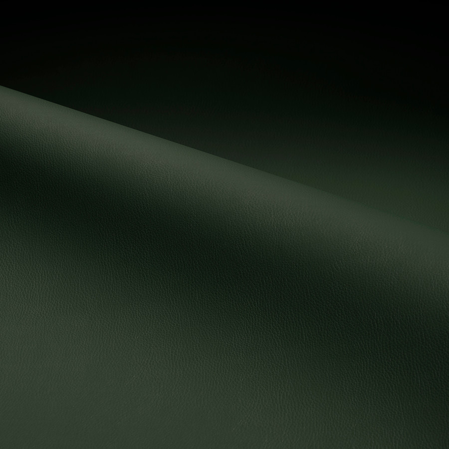 Dynamic 'Canopy-7947'