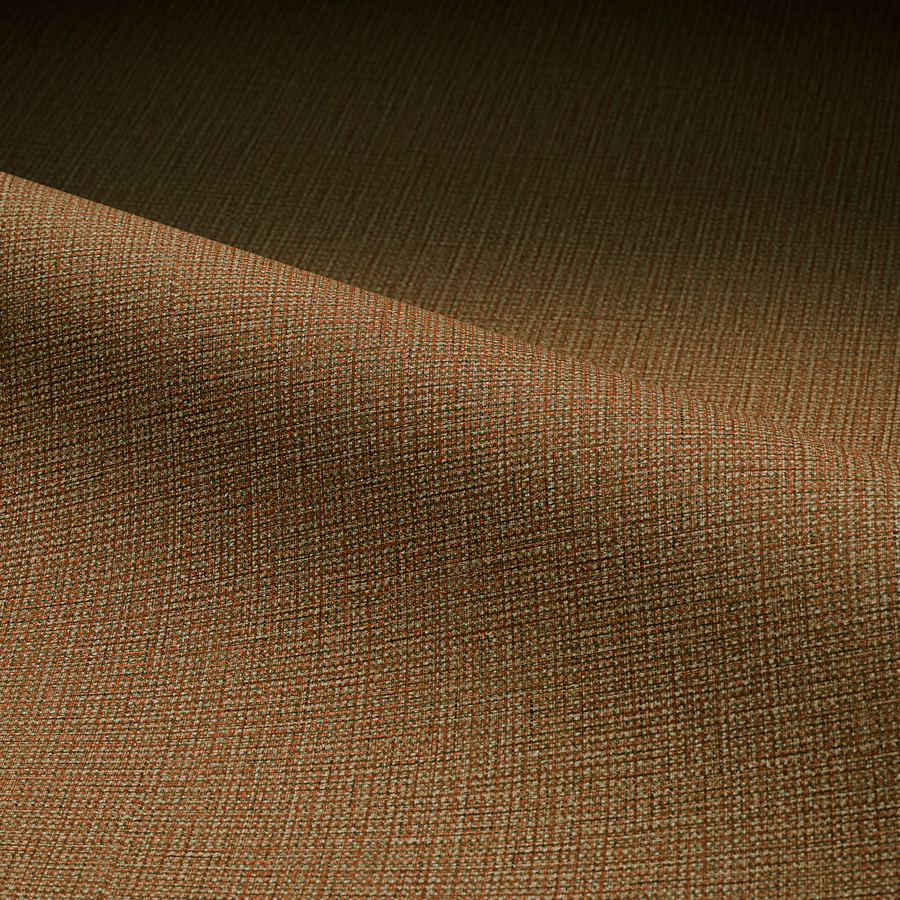 Dynamic 'Birchwood-7901'