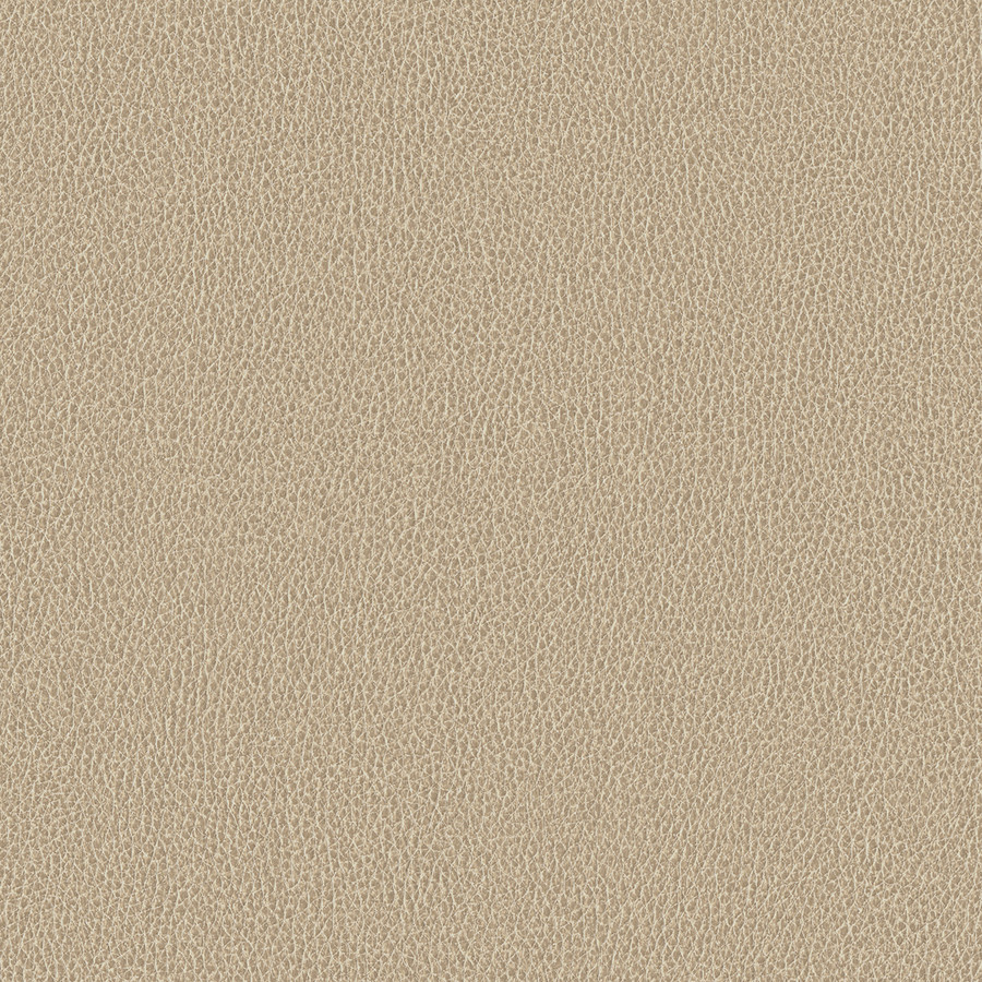 Product 'Coastal-8060' Swatch