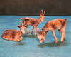 Goats Set of Three - Marolin Nativity Scene Germany