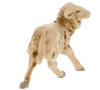 marolin nativity scene sheep scared