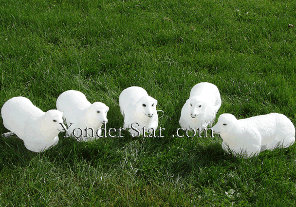 Lighted White Outdoor Nativity Flock of Sheep : Not Currently Available