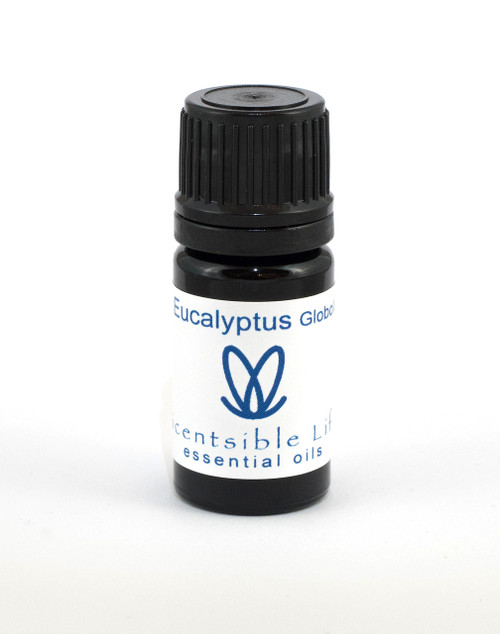 Eucalyptus Globolus