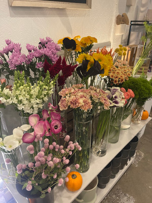 Designer's Choice Palette for the week of 8/22/2025