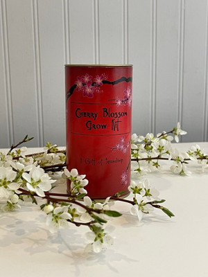 Cherry blossom grow kit