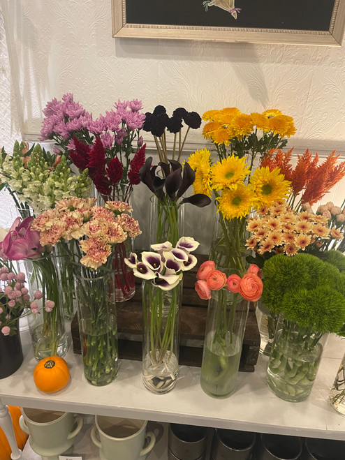 Designer's Choice Palette for the week of 8/22/2025