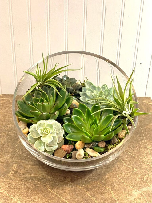 Half moon succulent planter
Glass half moon shaped bowl with a combination of succulents and airplants, layered with soil and small beach stones. Requires minimal water and bright light is preferred.
Seattle flower delivery by Juniper Flowers