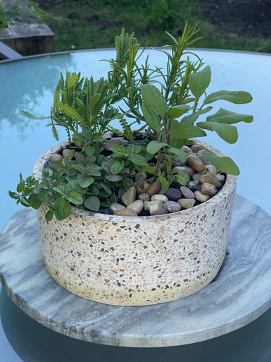 Image of Terrazzo Herbs