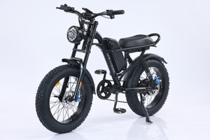 750W Electric Mountain Bike | 20 Inch Fat Tires | USA Sales Only 750W Electric Mountain Bike | 20 Inch Fat Tires | USA Sales Only