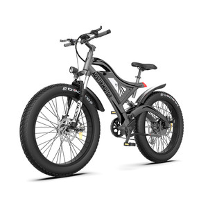 Fat Tire Electric Bike with Removable Lithium Battery - Powerful 500W or 1000W Motor Fat Tire Electric Bike with Removable Lithium Battery - Powerful 500W or 1000W Motor