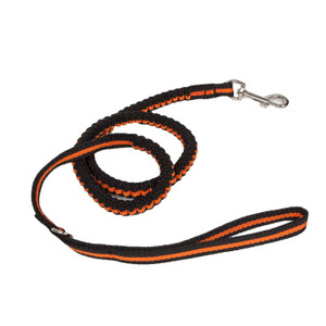 Durable Shock-Absorbing Dog Leash with Swivel Hook