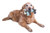 Cozy Play Plush 2 Matching Squeaking Chew Dog Toys - Eco-Friendly, Machine Washable