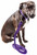 Pet Life Aero Mesh Dual-Sided Comfort Dog Leash-Collar