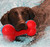 Pet Life Durable Bone Shaped Chew & Fetch Toy - Floats, Cleans Easily
