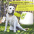 Premium Dog Tennis Balls 20 Pack for Small Dogs - Non-Toxic Fetch Toy
