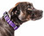 Pet Life Dual-Sided Breathable Mesh Dog Collar - Comfortable & Adjustable