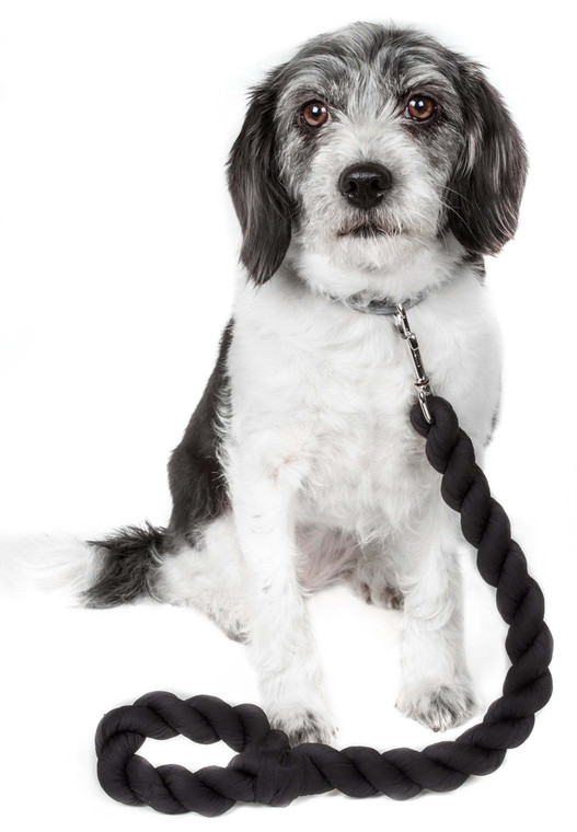 Pet Life Tough-Tugger Shock Absorption Dog Leash - Industrial-Strength, Multi-Directional Pull