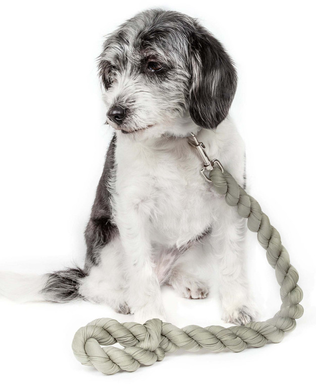 Pet Life Tough-Tugger Shock Absorption Dog Leash - Industrial-Strength & Multi-Directional