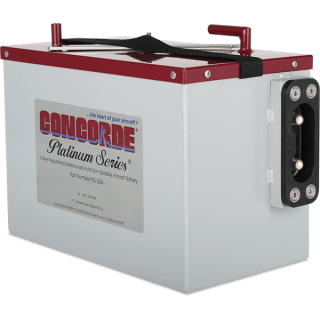 CONCORDE RG-206 PLATINUM AIRCRAFT BATTERY