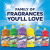 Fabuloso Lavender Fragrance (3 - 169oz/cs)