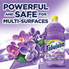 Fabuloso Lavender Fragrance (3 - 169oz/cs)