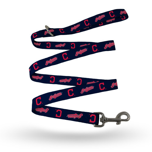 These high-quality woven polyester leashes feature your favorite team in a colorful repeat logo pattern. Measures approximately 71.5 inches long by 1 inch wide. Made by Rico Industries.