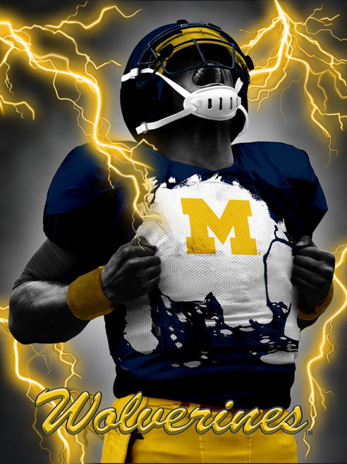 NCAA - Michigan Wolverines - Page 1 - Sports Fan Shop