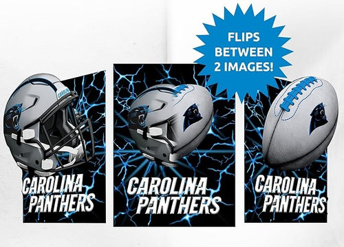 NFL - Carolina Panthers - Page 1 - Sports Fan Shop
