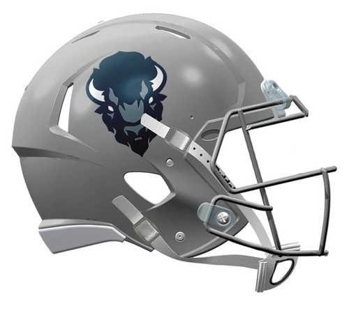 Dartmouth Big Green Helmet Riddell Replica Mini Speed Style