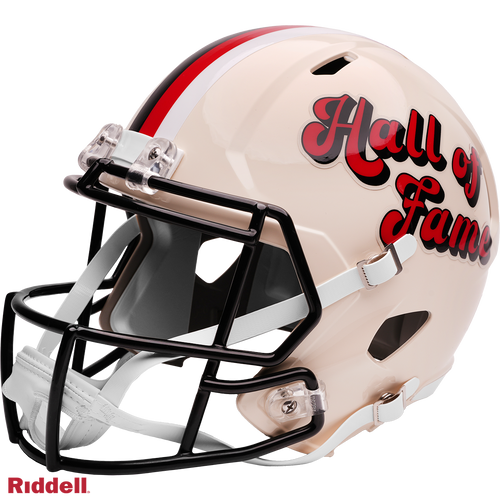 NFL Hall of Fame Helmet Riddell Replica Full Size Speed Style Retro Collection