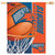 Charlotte Hornets Banner 28x40 Vertical Special Order