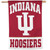 Indiana Hoosiers Banner 28x40 Vertical